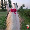 ammarahh84