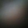 renall_30