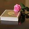 bint_e_hawa822
