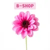 ⬆️BSHOP⬆️