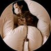 pokokechannel27