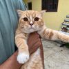 nicetryy_92
