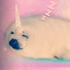 bumyhop
