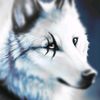 alexeyfrolov28