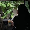 fatimaaalsayed