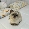 _.xiaojie._
