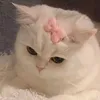 nidalee69