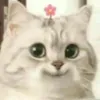 lyn.lyn213_