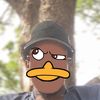 soitvif