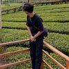dhanialadiputra