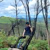 pi5c3s_