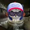 sladoidokkkkk