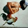 josemarvel2