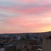 rayalgerian._1