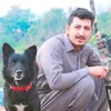 khanbhai4446
