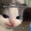 heheidhdbs