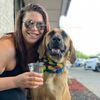 dogmompalmer