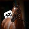 horse_racing01