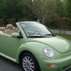 green_beetle_bug
