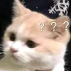 useyourebrainnotyourass