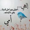 foufoumalak31