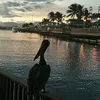 username155843827