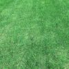 0_0_0_0_111k