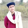aliswabian2