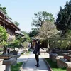 magdarinisumarno_