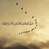 om_7mod122