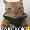 xyeditzz21