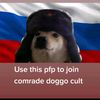 comrade_doggo_team