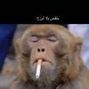 eror2030