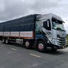 thanhquang76f1