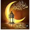 user805000366