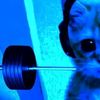 cat_lover.333