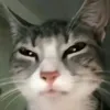 kyt_00