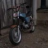 maxe_48_vogt