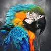 SKYZUNE ART Artiste animalier