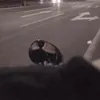 chibaohai0bon