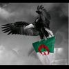 123..algeria