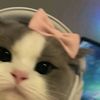url0ve_s4ll