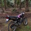 pengguna_____01