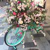 snowfirerose