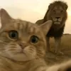 abubakr_timurziev