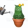 presidentgato