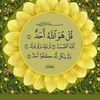 aya.salim.4