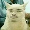 musng_0