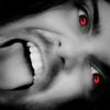 david_in_sight