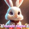 conejotierno0